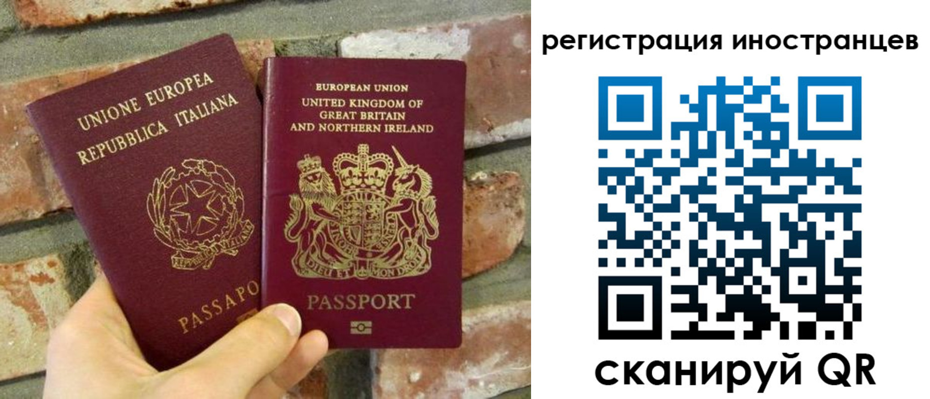 временная регистрация для школы в Курганской области